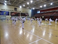 La Nucia pabellon congreso nac taekwon do 6 2020