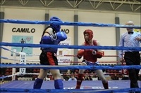 La Nucia Muay Thai aut 2014