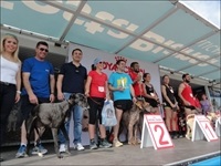 La Nucia Sx Canicross podium 2014