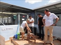 La Nucia AlbergueAnimales Obras