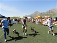 La Nucia CD Canino 2013