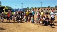 La Nucia CD Perros Adiestramiento 2015