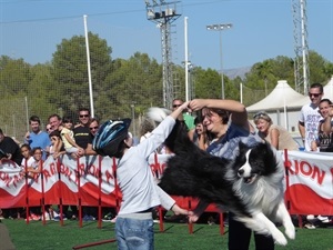 Las exhibiciones caninas contaron con la participación de niños