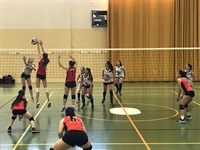 La Nucia Voley Cadetes vs RP San Juan 1 abril 2017