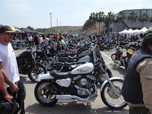 El parking del Pabellón se llenó de motos customizadas y coches de época