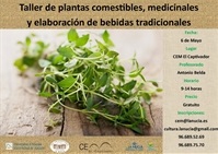 Curso Plantas
