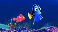 dory5