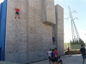 La escalada se ha realizado en el Rocódromo de la Ciutat Esportiva Camilo Cano