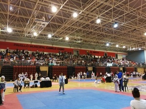 Durante dos días el Pabellón se convirtió en el centro neurálgico del Taekwondo Autonómico