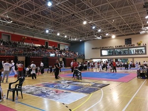 En la pista central del Pabellón se montaron diferentes tatamis para la competición