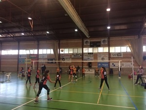 Las alevines del E.M. La Nucía "Negro" siguen progresando cada jornada