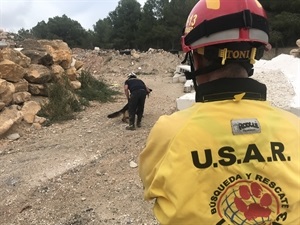 La ONG USAR 13 de "búsqueda y rescate" de La Nucía también participó en esta jornada de entrenamiento