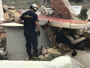 Los perros deben encontrar las personas escondidas en los diferentes zulos