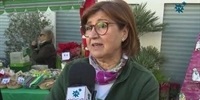 VIII-Feria-Solidaria-de-Navidad