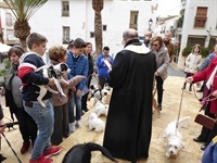 La Nucia Sant Antoni Bendicion 1 2019