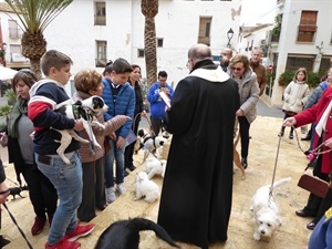 Todos los años en la escalinata de la Iglesia se celebra la Bendición de los animales y mascotas