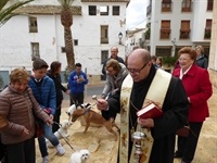 La Nucia Sant Antoni Bendicion 3 2019