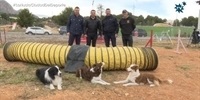 Obras-Pista-Canina-Agility