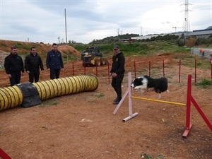 La Pista Canina de Agility será de uso deportivo para los miembros del Club