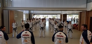 Todas las sesiones de entrenamiento se realizaron en la Sala Tatami del Pabellón Camilo Cano