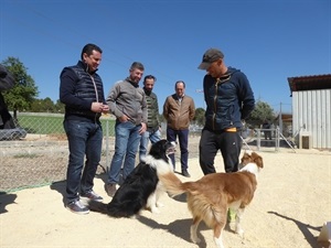 El Club Deportivo Agility La Nucía gestionará esta instalación