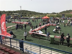 El año pasado participaron en esta actividad celebrada en la Ciutat Esportiva Camilo Cano 250 perros