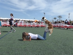 Las actividades de Agility se desarrollaron a lo largo de la mañana