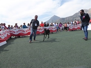 Momento del Concurso Canino en una de sus categorías