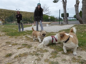 En el "parque can" los perros pueden ir sueltos, correr y jugar sin molestar al resto de vecinos