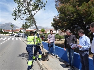 los técnicos de la empresa y de la Diputación de Alicante visitaron las zonas de actuación junto a Cristóbal Llorens, concejal de Medio Ambiente