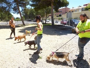 Este nuevo servicio municipal totalmente gratuito para todos los vecinos de la Urbanización Nou Espai I y zonas residenciales colindantes