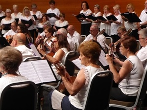 El concierto se celebró ayer por la tarde en l'Auditori de La Nucía