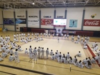 La Nucia congreso taekwondo 1 2019
