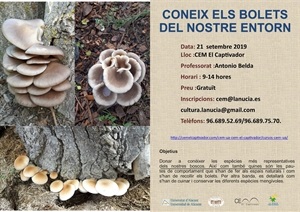 Cartel del curso de bolets (setas) en el CEM Captivador