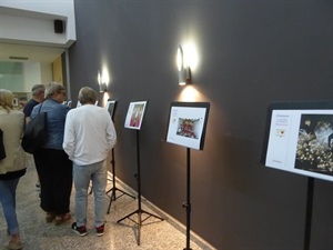En la exposición hay 23 fotos, las tres ganadoras, 10 menciones y 10 fotos con más "me gusta"