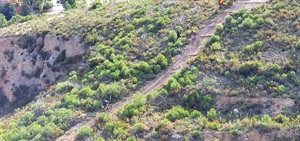 Una de las bajadas de la XX Marcha de Bicis de Montaña de La Nucía