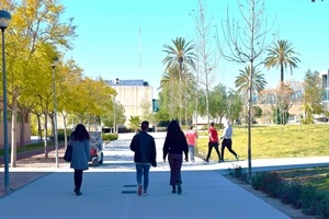 Campus de la UMH en Elche