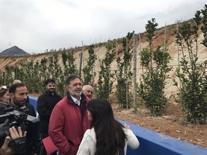 Visitando las zonas ajardinadas en el Estadi Olímpic Camilo Cano