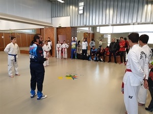 Andreu Martínez, director del Comité de Arbitraje de la Federación Española de Taekwon-do ITF y Maestro VII Dan impartió el curso