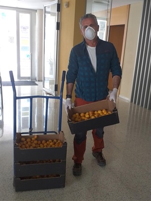 Enrique Mustieles ha donado nísperos para el Programa de Alimentos