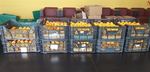 Donación particular de fruta fresca de Adolfina Gómez al Programa de Alimentos