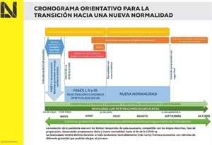 Organigrama de las diferentes Fases