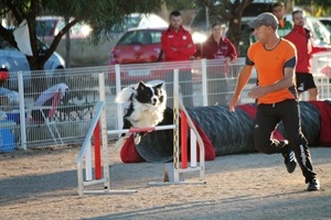 Jack y Fermín Gil son los nuevos campeones autonómicos de Agility categoría Maxi II