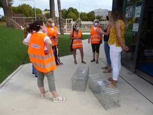 a Diputación de Alicante ha subvencionado esta Campaña de Esterilización de Gatos de La Nucía