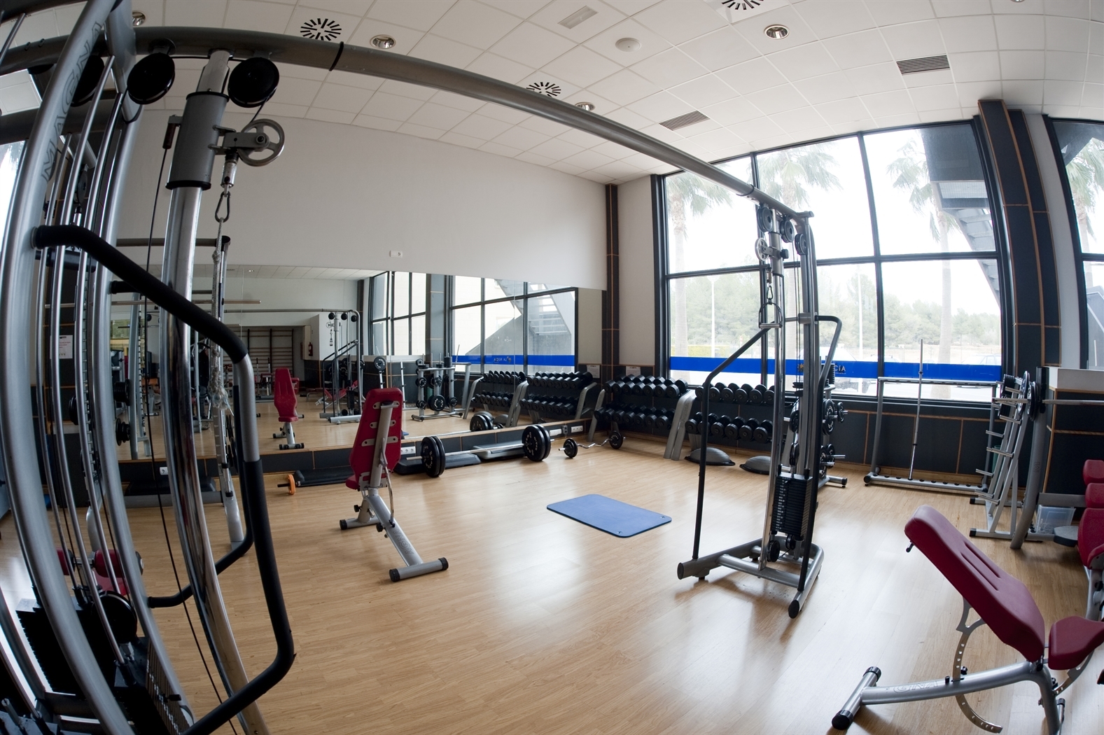 Gimnasio_Pabellon_La-Nucia