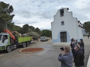 LA llegada del olivo a la ermita de Sant Vicent