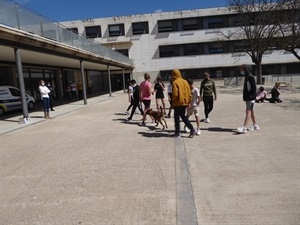 Todos los alumnos de 2º ESO han pasado por esta actividad extraescolar gratuita
