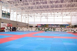 20250113022135La Nucia pabellón Taek Elite Stage 3 2025