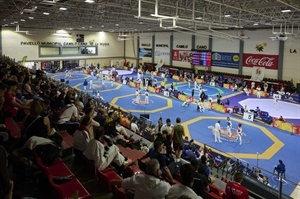 20250429123617La Nucia pCCano Open Int Taekwondo 10 2025